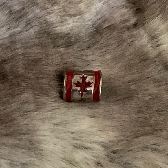 Jewelry - Canadian flag charm